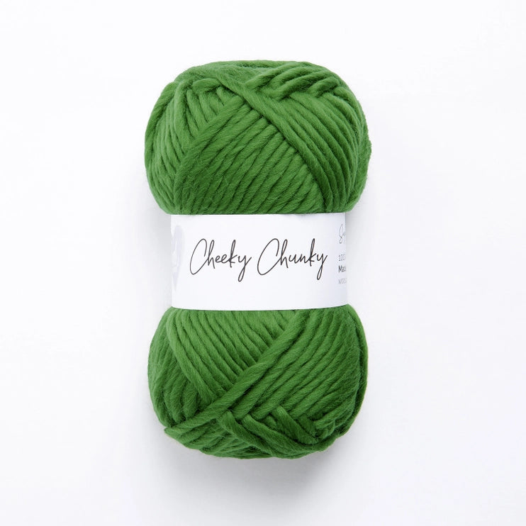 Cheeky Chunky Yarn Rainbow Brights