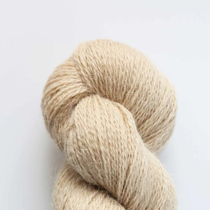 Eden 4 Ply