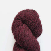 Eden DK