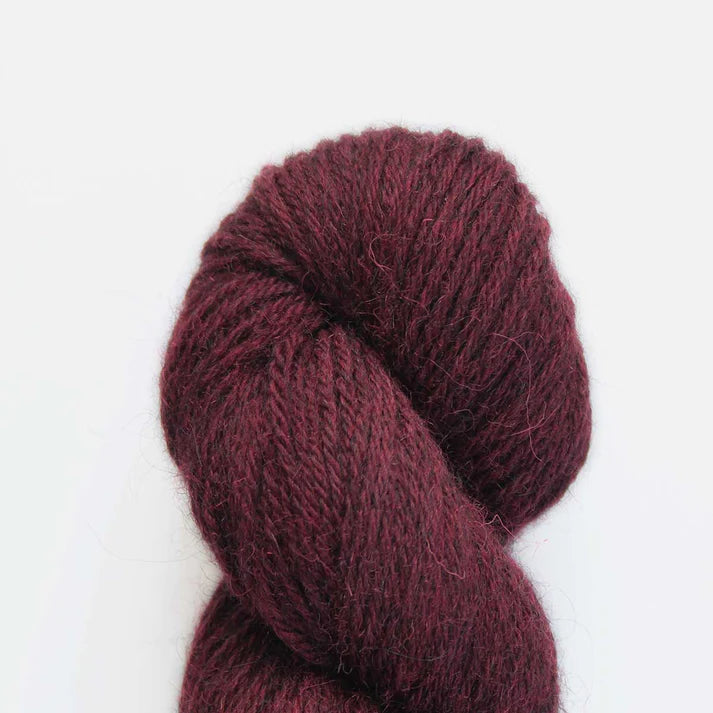 Eden DK