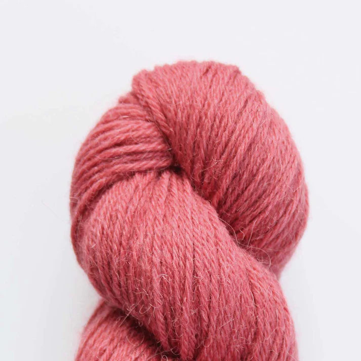 Eden DK