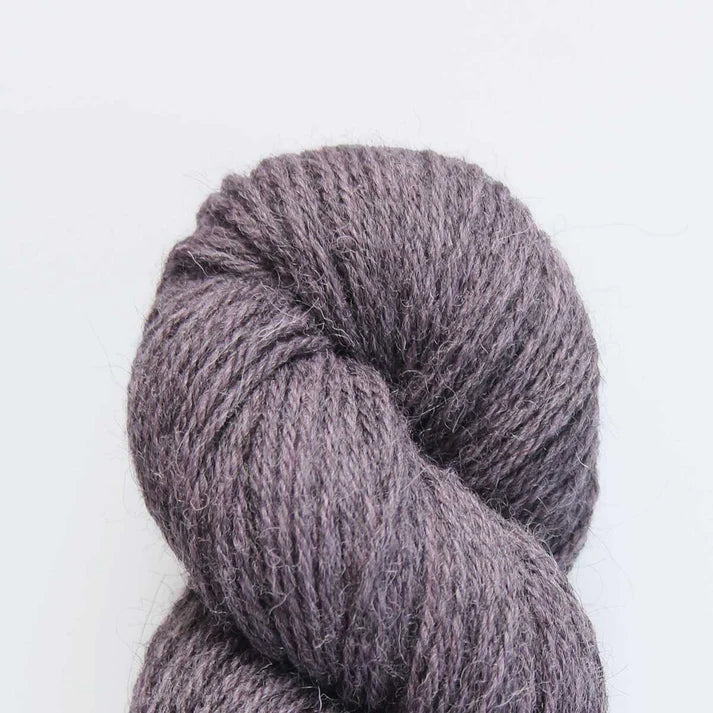 Eden DK
