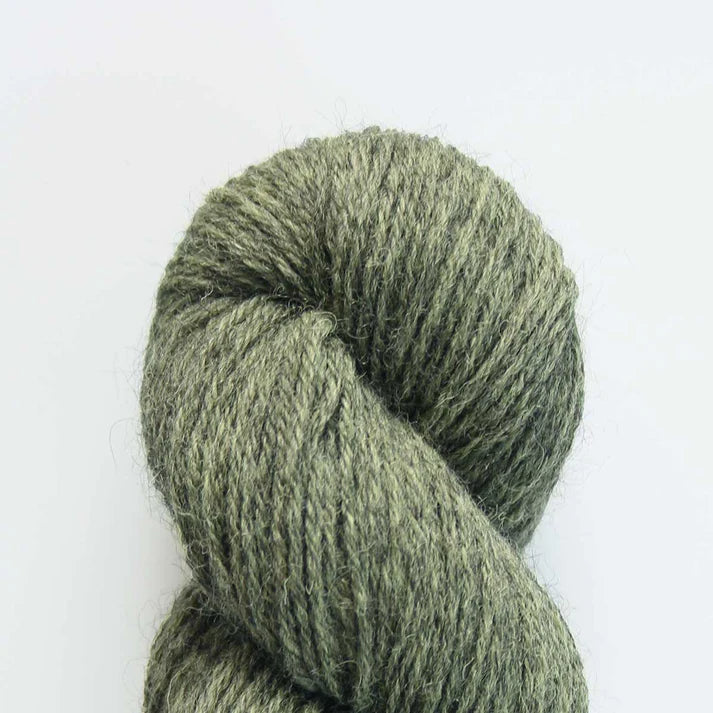 Eden DK