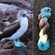 Round Mtn. Willow DK