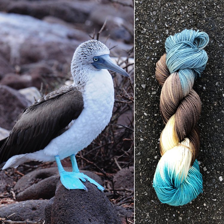 Round Mtn. Willow DK