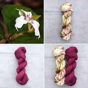 Round Mtn. Willow DK