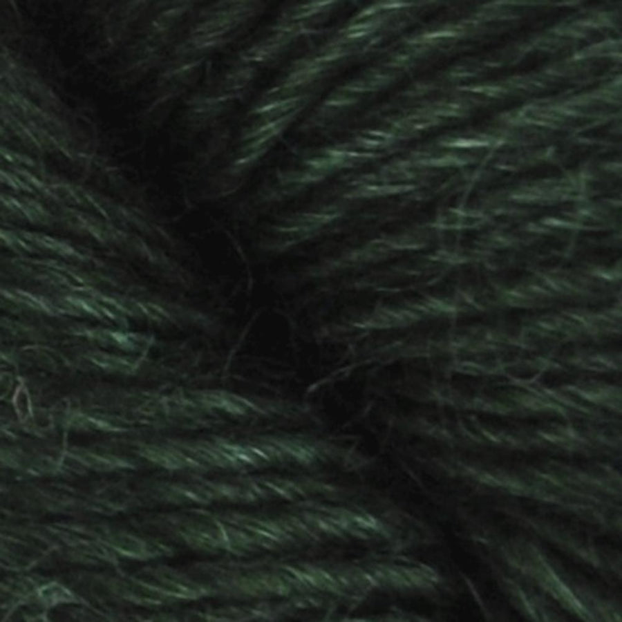 Wild Wool