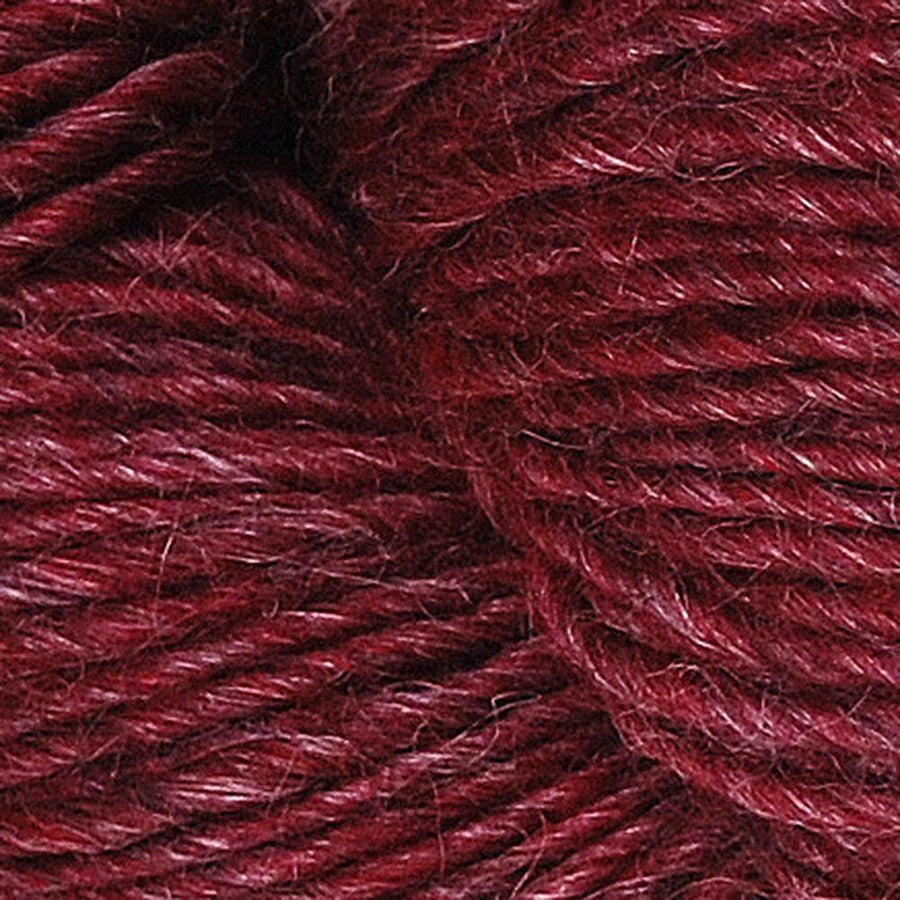 Wild Wool