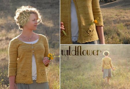 Coastal Knits