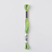 COSMO Seasons Variegated Embroidery Floss (6 skeins)