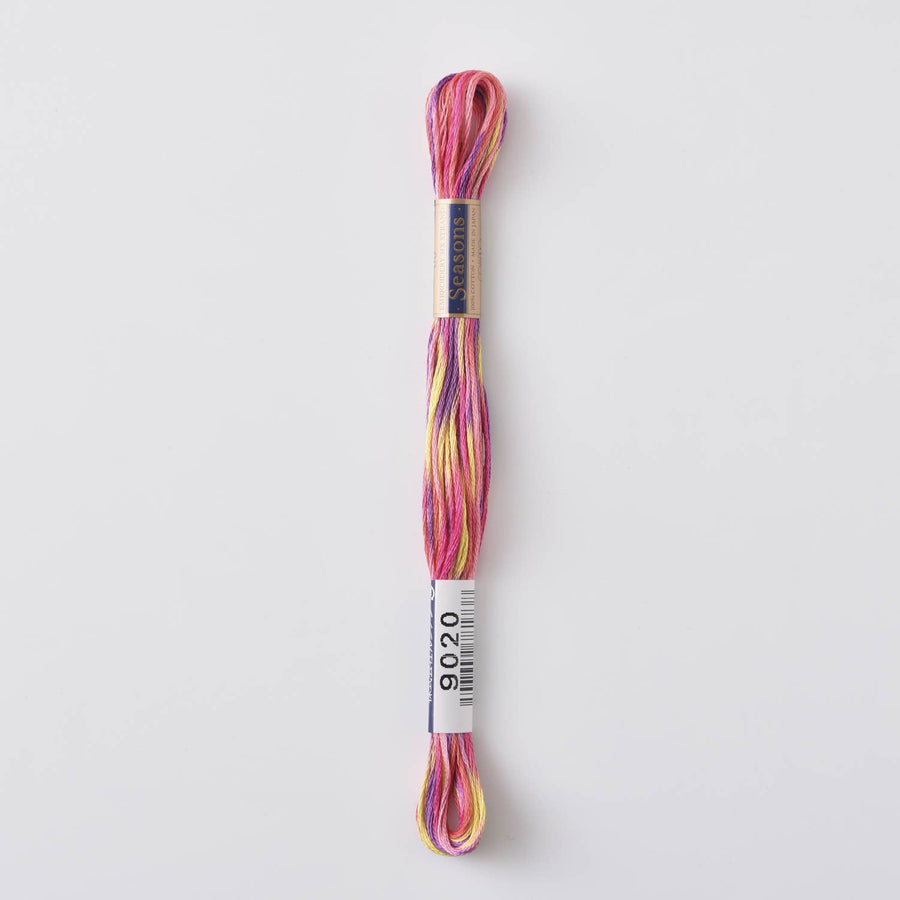 COSMO Seasons Variegated Embroidery Floss (6 skeins)