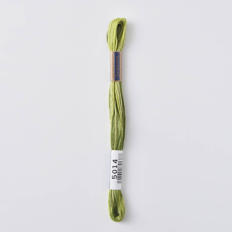 COSMO Seasons Variegated Embroidery Floss (6 skeins)