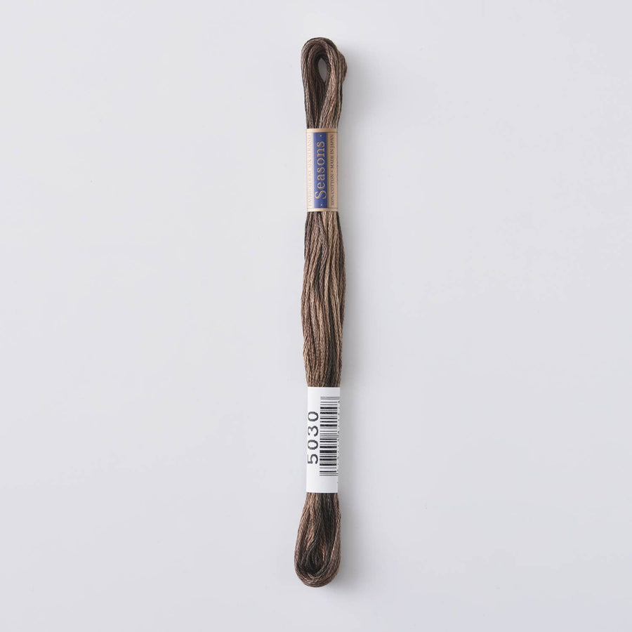 COSMO Seasons Variegated Embroidery Floss (6 skeins)