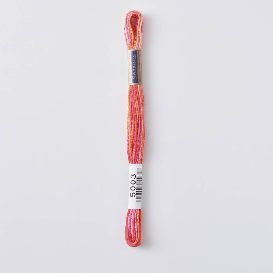 COSMO Seasons Variegated Embroidery Floss (6 skeins)