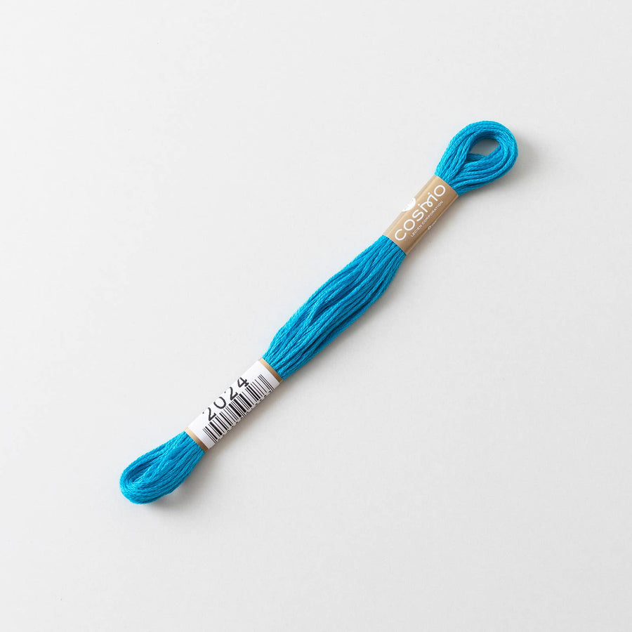 COSMO No.25 Embroidery Floss (6 skeins) #2010-2029