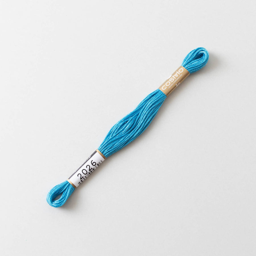 COSMO No.25 Embroidery Floss (6 skeins) #2010-2029
