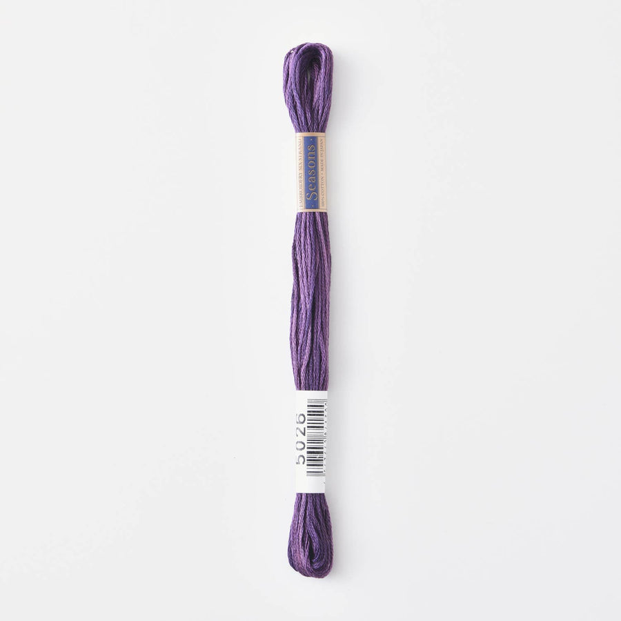 COSMO Seasons Variegated Embroidery Floss (6 skeins)