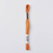 COSMO Seasons Variegated Embroidery Floss (6 skeins)