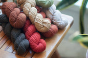 Chickadee 100%  Wool Sport/DK Weight Yarn
