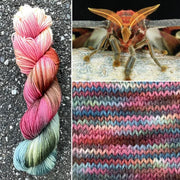 Round Mountain Willow DK