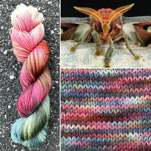 Round Mountain Willow DK