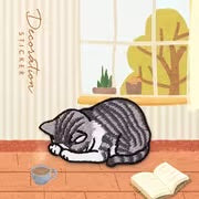 Gray Tabby Patch (2 pk)