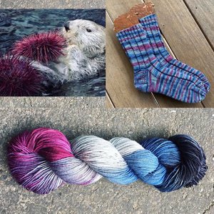 Round Mountain DK: Aquatic