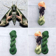 Round Mountain  DK: Entomology