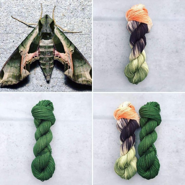 Round Mountain  DK: Entomology