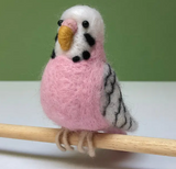 Budgie Needle Felting Kit