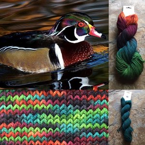 Round Mountain Fingering: Ornithology