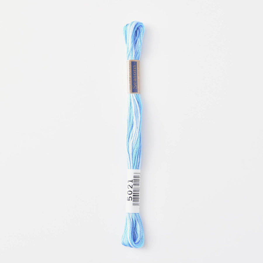 COSMO Seasons Variegated Embroidery Floss (6 skeins)