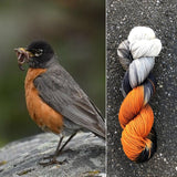 Round Mountain Fibers Fingering: Ornithology Collection