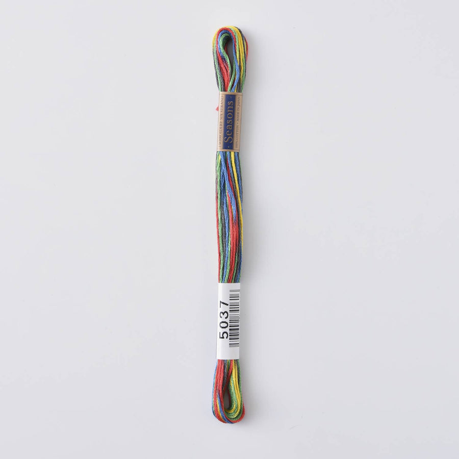 COSMO Seasons Variegated Embroidery Floss (6 skeins)