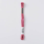 COSMO Seasons Variegated Embroidery Floss (6 skeins)