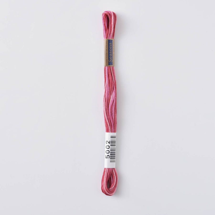 COSMO Seasons Variegated Embroidery Floss (6 skeins)