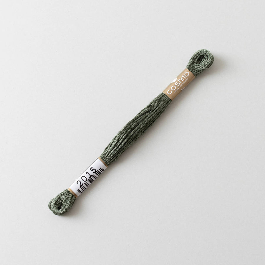 COSMO No.25 Embroidery Floss (6 skeins) #2010-2029