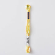 COSMO Seasons Variegated Embroidery Floss (6 skeins)