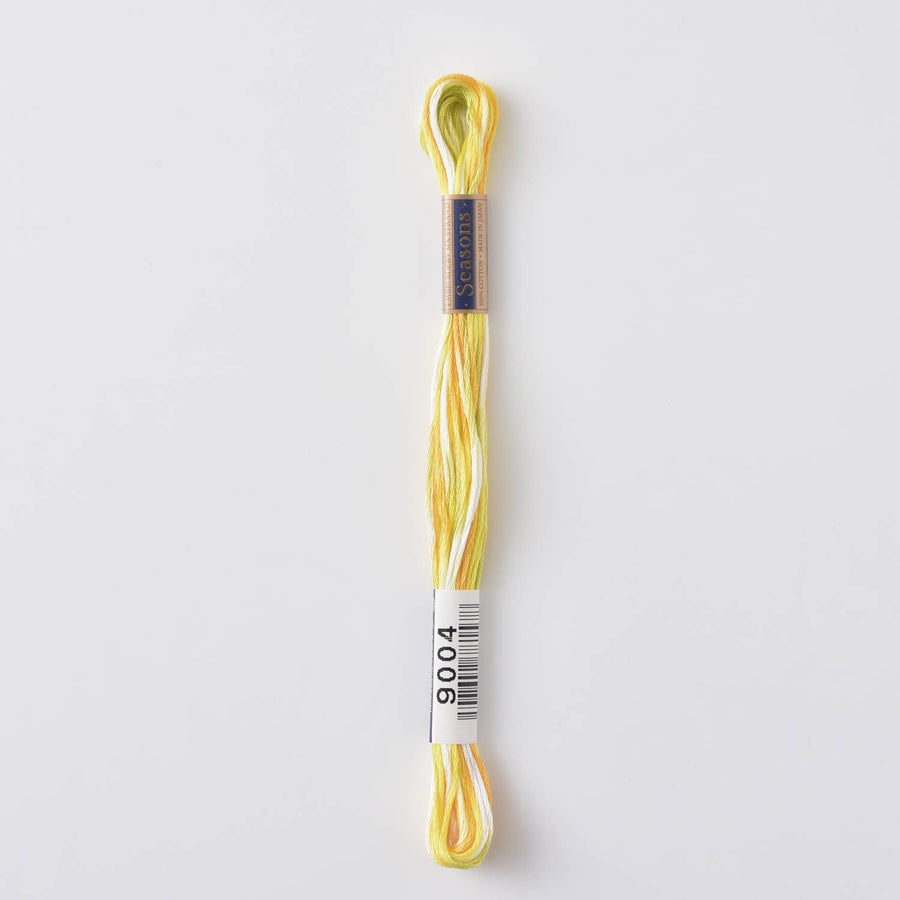 COSMO Seasons Variegated Embroidery Floss (6 skeins)