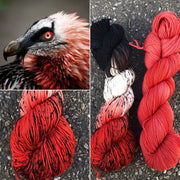 Round Mountain Fingering: Ornithology