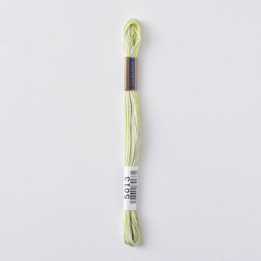 COSMO Seasons Variegated Embroidery Floss (6 skeins)