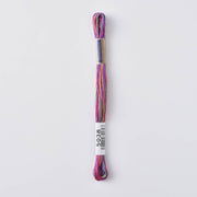 COSMO Seasons Variegated Embroidery Floss (6 skeins)