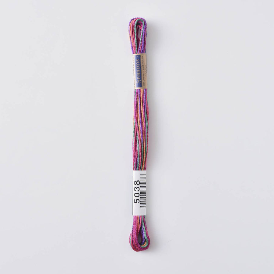 COSMO Seasons Variegated Embroidery Floss (6 skeins)