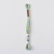 COSMO Seasons Variegated Embroidery Floss (6 skeins)