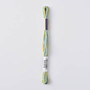COSMO Seasons Variegated Embroidery Floss (6 skeins)