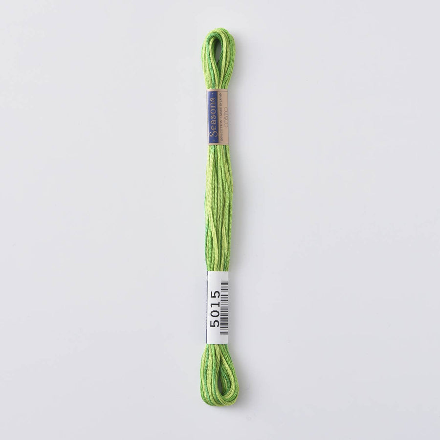 COSMO Seasons Variegated Embroidery Floss (6 skeins)
