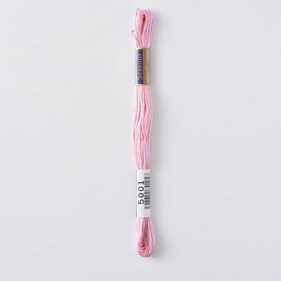 COSMO Seasons Variegated Embroidery Floss (6 skeins)