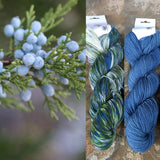 Round Mountain Fibers DK: Botany Collection