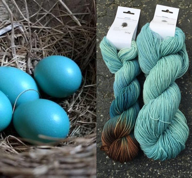 Round Mountain DK: Ornithology