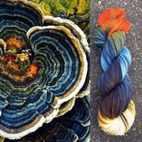 Round Mountain Fibers DK: Botany Collection
